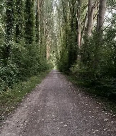 Maison Independante 3 * צ'מבלי